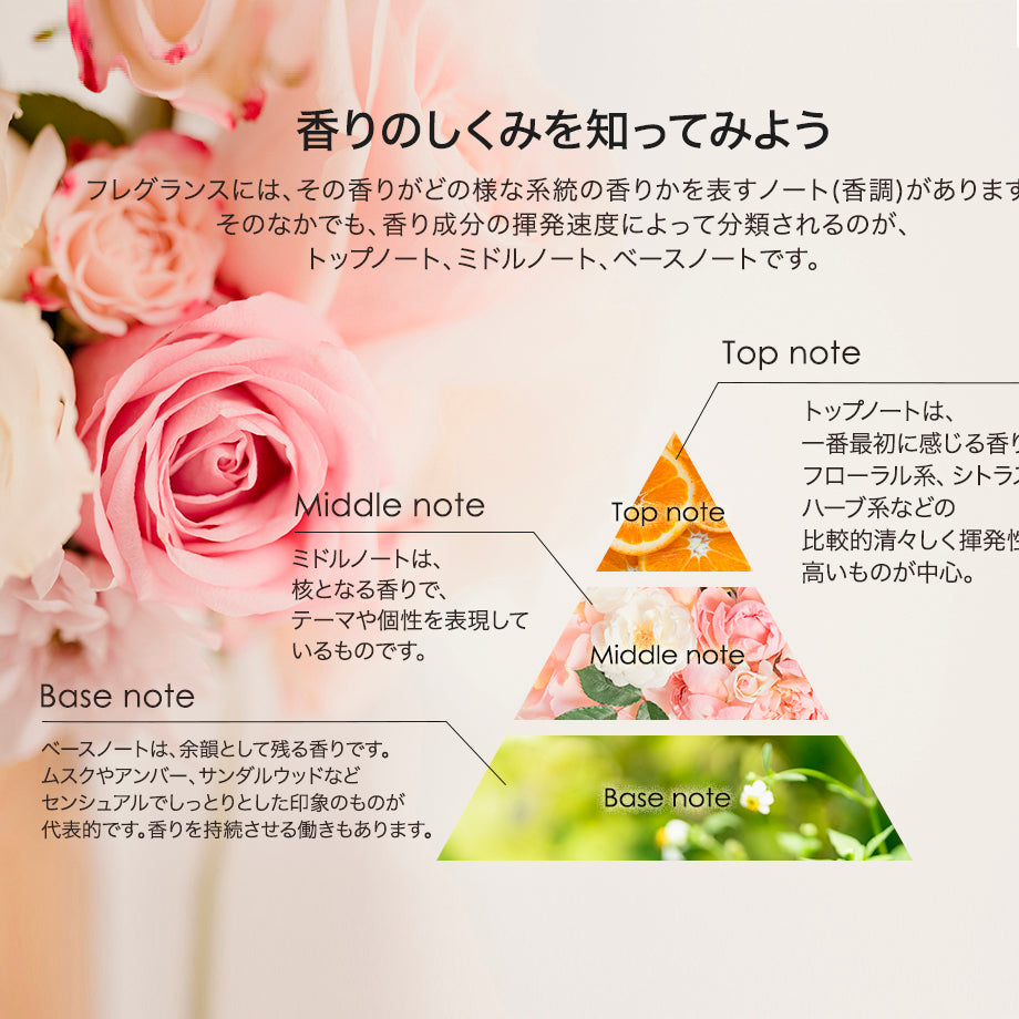 アシュレイ&バーウッド フレグランスランプ L ムーンライトドリーム