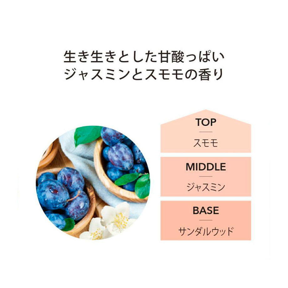 アシュレイ&バーウッド ランプフレグランス 500ml【ジャスミン&ダムソン】