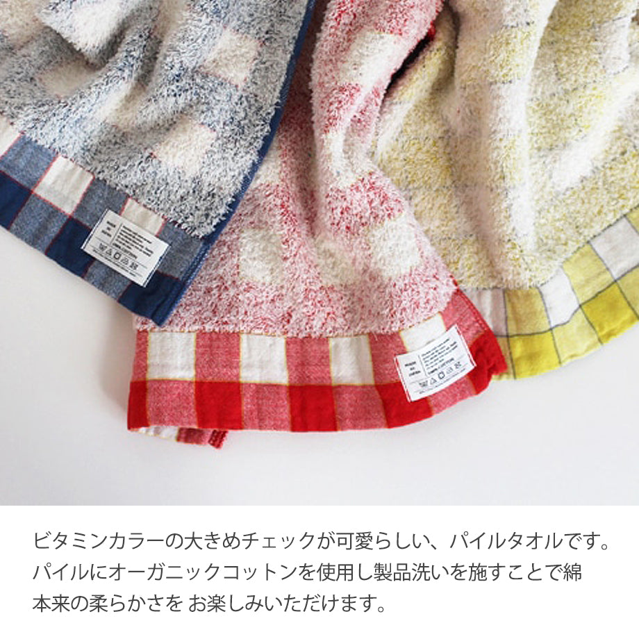 LINE CHECK ラインチェックタオルギフトセットLサイズ×2枚 日本製