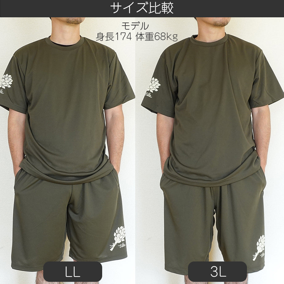 LLと3Lのサイズ比較 身長174cm 体重68kg