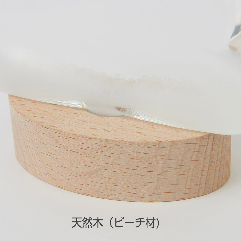 ストームグラス ガラス 天気予報ボトル インテリア