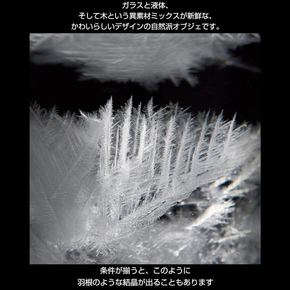 温度計&ストームグラス