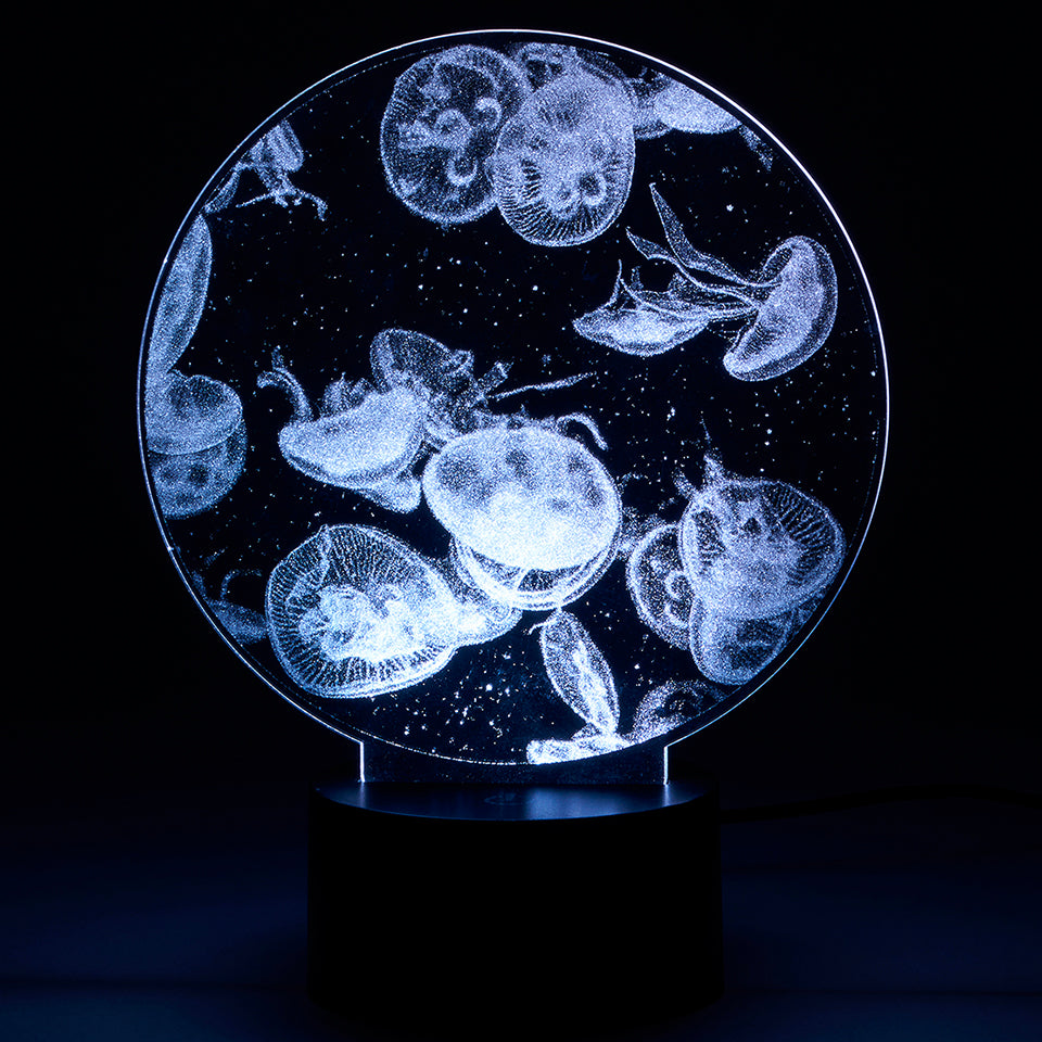 Acrylic LED Light Collection アクリルLEDライト くらげ