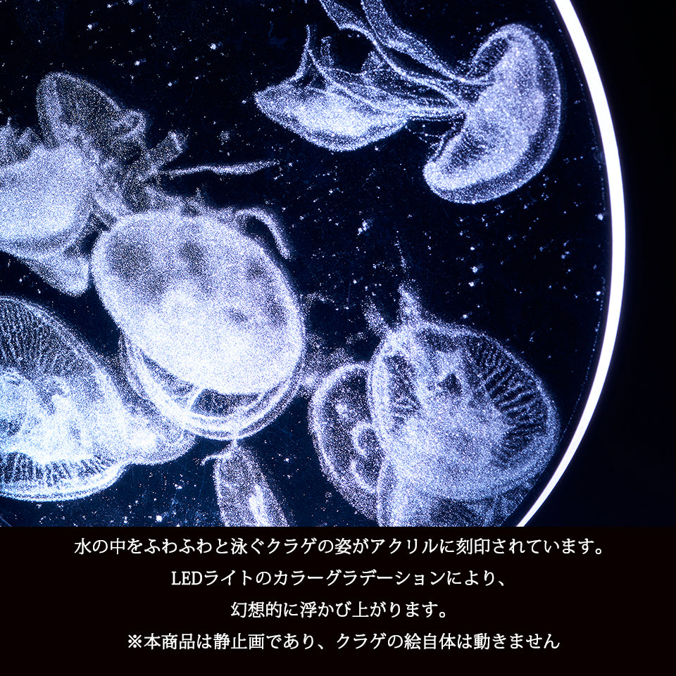 Acrylic LED Light Collection アクリルLEDライト くらげ
