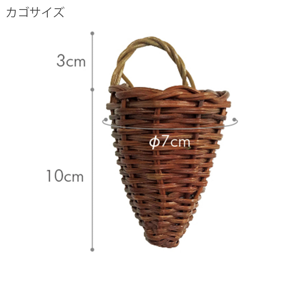 器/籐