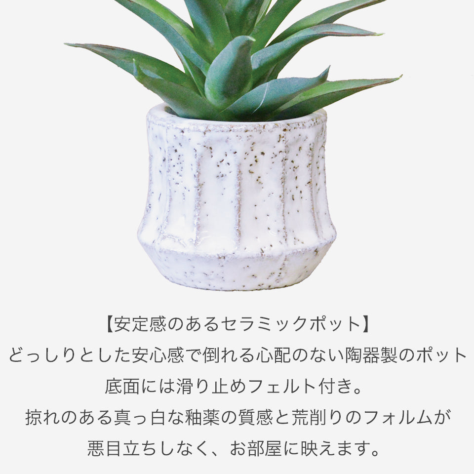 エペポット アロエ インテリアグリーン フェイクグリーン 造花 消臭効果 抗菌効果 植物 枯れない