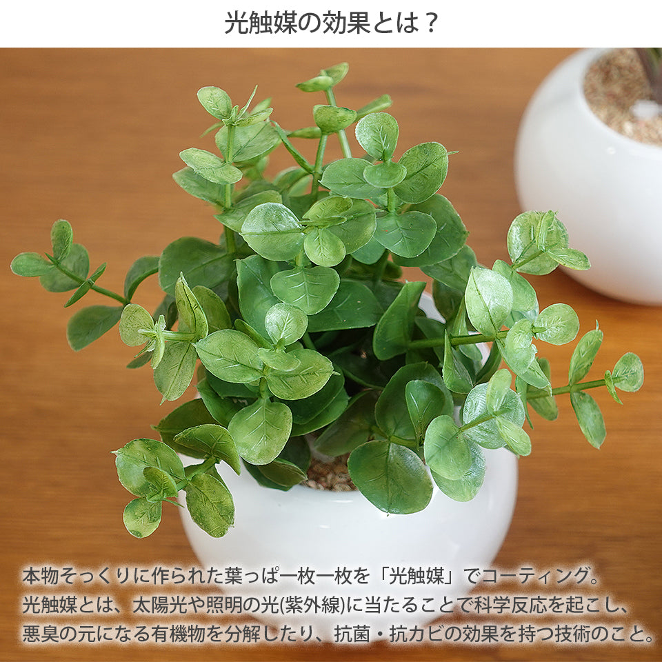 ラウンドポット3点セット インテリアグリーン フェイクグリーン 造花 消臭効果 抗菌効果 植物 枯れない