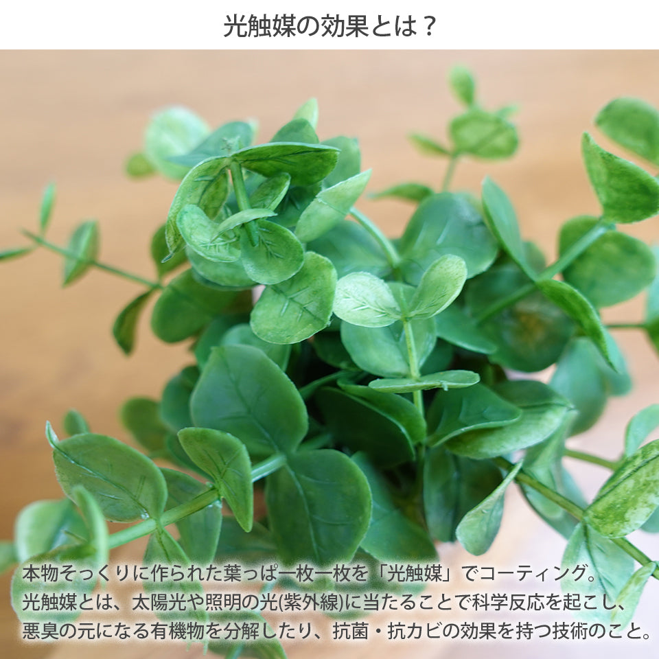 アニマルポット ベア インテリアグリーン フェイクグリーン 造花 消臭効果 抗菌効果 植物 枯れない
