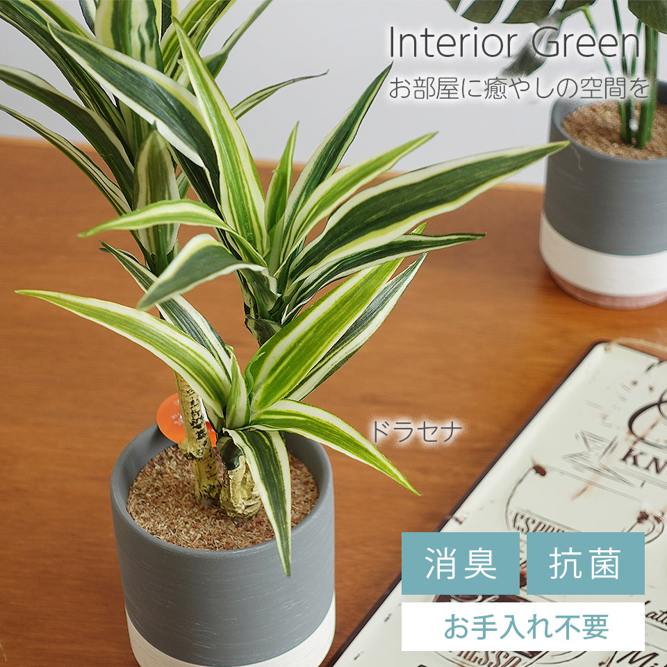 セラミックポット ドラセナ インテリアグリーン フェイクグリーン 造花 消臭効果 抗菌効果 植物 枯れない