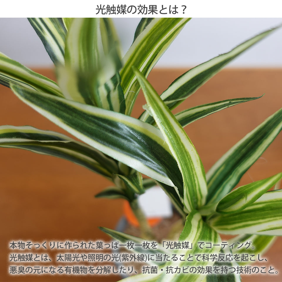 セラミックポット ドラセナ インテリアグリーン フェイクグリーン 造花 消臭効果 抗菌効果 植物 枯れない