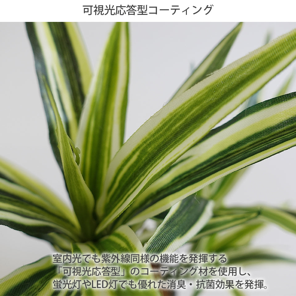 セラミックポット ドラセナ インテリアグリーン フェイクグリーン 造花 消臭効果 抗菌効果 植物 枯れない