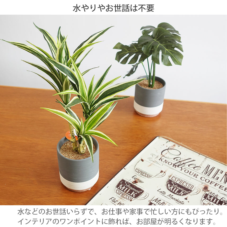 セラミックポット ドラセナ インテリアグリーン フェイクグリーン 造花 消臭効果 抗菌効果 植物 枯れない