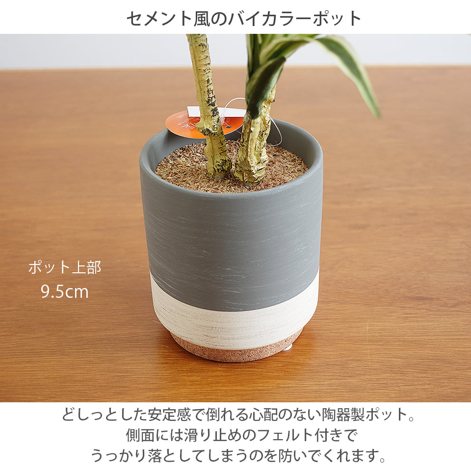 セラミックポット ドラセナ インテリアグリーン フェイクグリーン 造花 消臭効果 抗菌効果 植物 枯れない