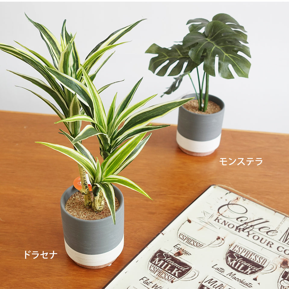 セラミックポット ドラセナ インテリアグリーン フェイクグリーン 造花 消臭効果 抗菌効果 植物 枯れない
