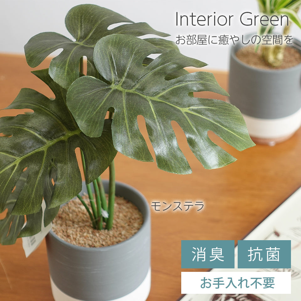 セラミックポット モンステラ インテリアグリーン フェイクグリーン 造花 消臭効果 抗菌効果 植物 枯れない