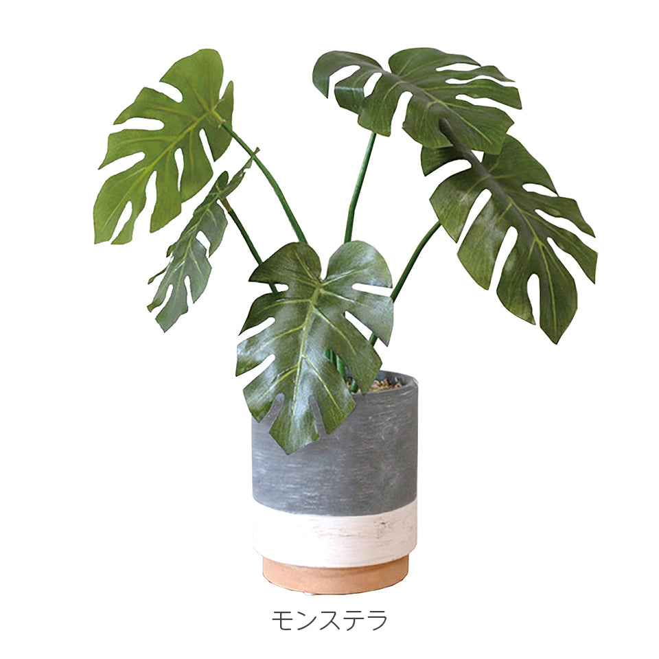 セラミックポットセット モンステラ ドラセナ インテリアグリーン フェイクグリーン 造花 消臭効果 抗菌効果 植物 枯れない