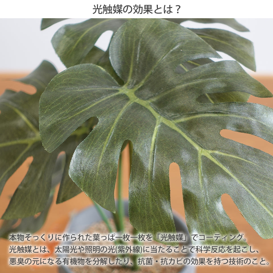 セラミックポットセット モンステラ ドラセナ インテリアグリーン フェイクグリーン 造花 消臭効果 抗菌効果 植物 枯れない