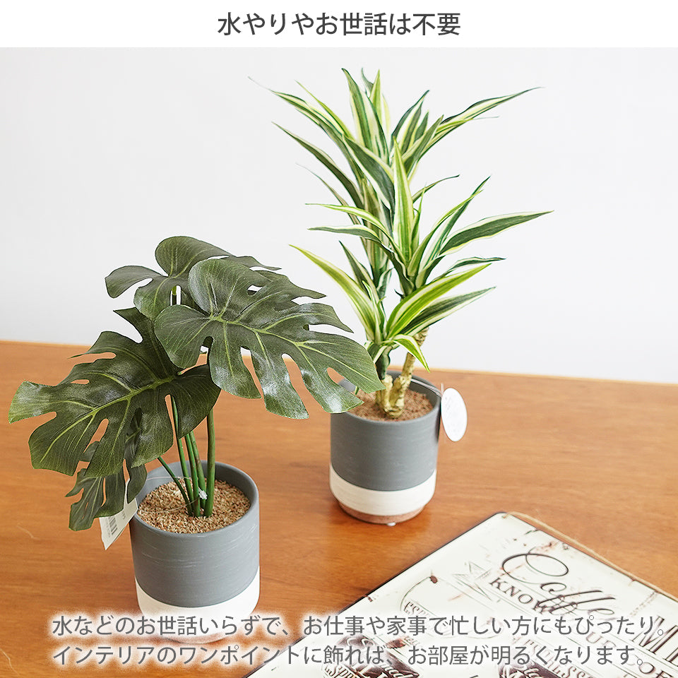 セラミックポットセット モンステラ ドラセナ インテリアグリーン フェイクグリーン 造花 消臭効果 抗菌効果 植物 枯れない