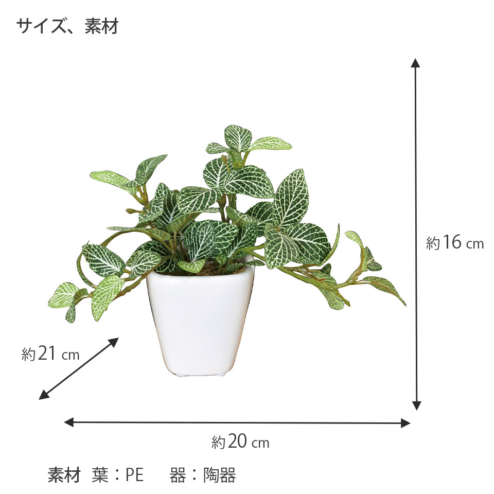 KUポット フィットニアKU インテリアグリーン フェイクグリーン 造花 消臭効果 抗菌効果 植物 枯れない