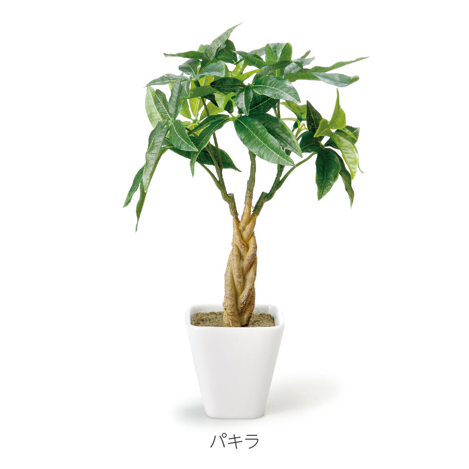 KUポット パキラKU インテリアグリーン フェイクグリーン 造花 消臭効果 抗菌効果 植物 枯れない
