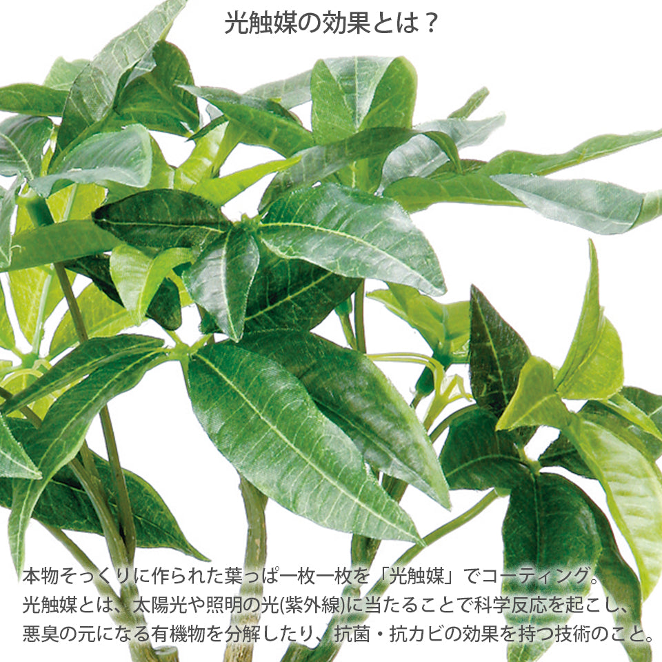 KUポット パキラKU インテリアグリーン フェイクグリーン 造花 消臭効果 抗菌効果 植物 枯れない