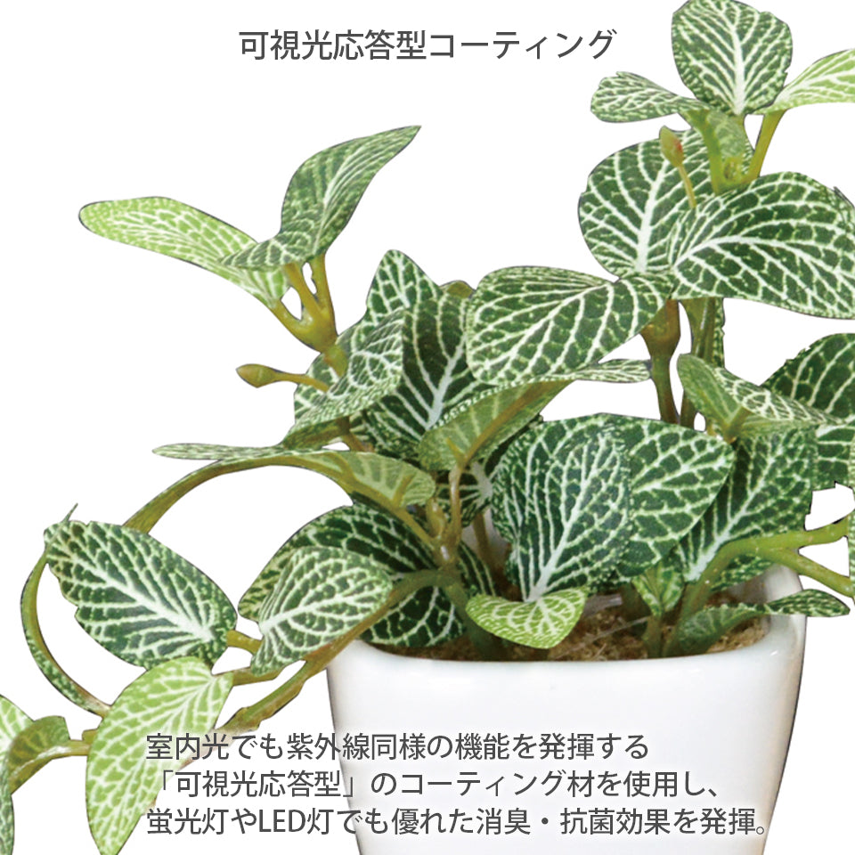 KUポット フィットニアKU インテリアグリーン フェイクグリーン 造花 消臭効果 抗菌効果 植物 枯れない