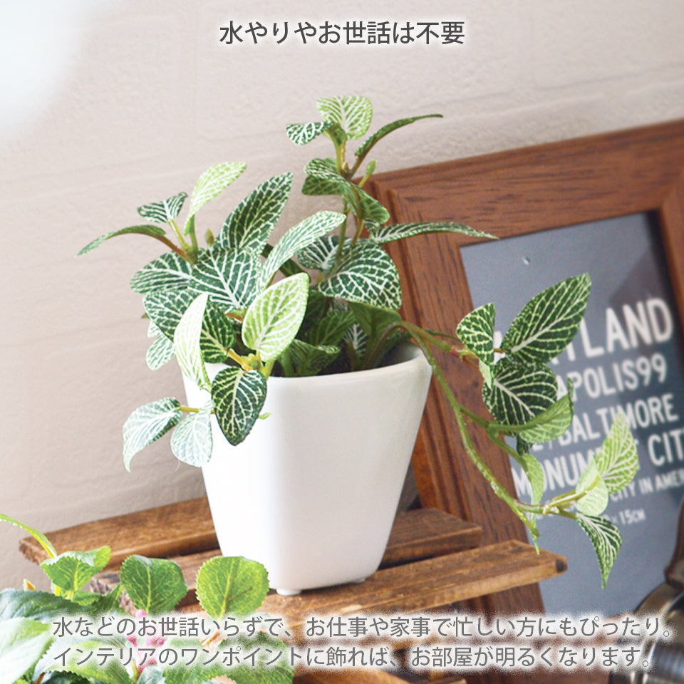 KUポット フィットニアKU インテリアグリーン フェイクグリーン 造花 消臭効果 抗菌効果 植物 枯れない
