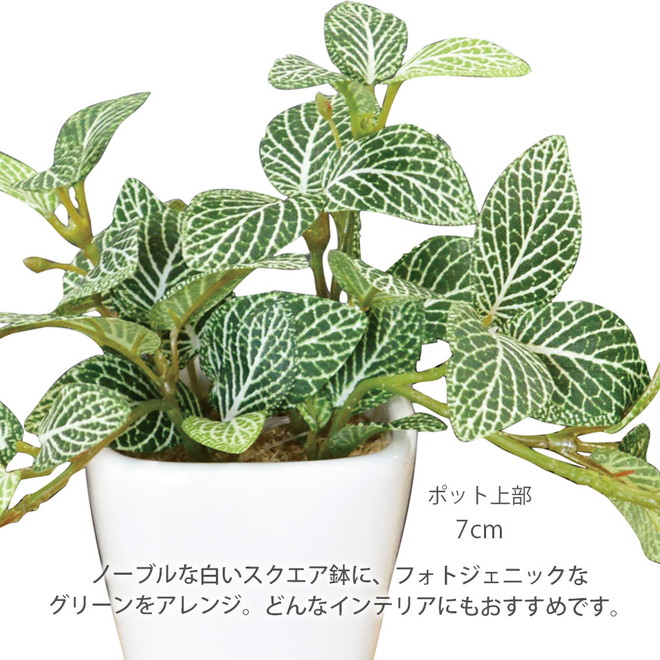 KUポット フィットニアKU インテリアグリーン フェイクグリーン 造花 消臭効果 抗菌効果 植物 枯れない