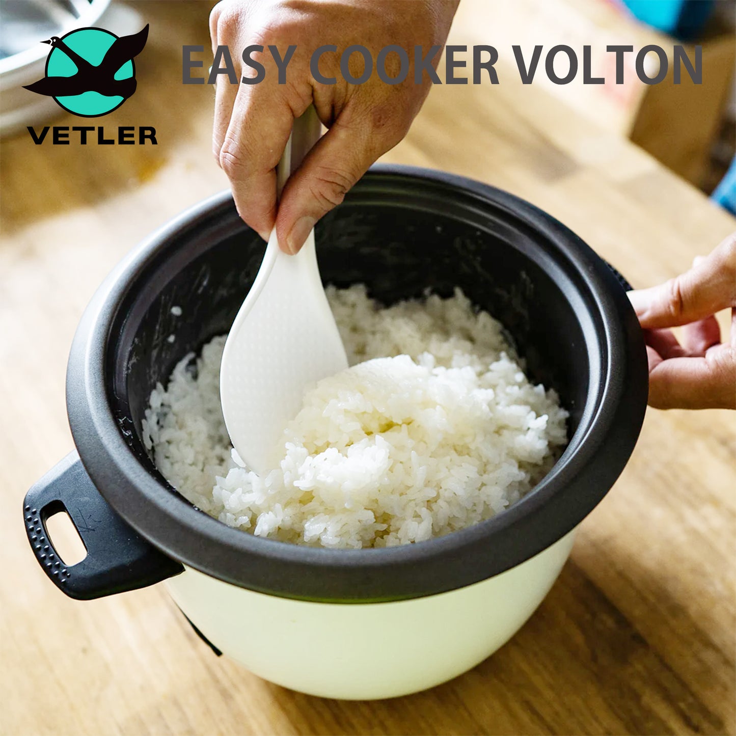 VETLER EASY COOKER VOLTON 最大4合炊飯