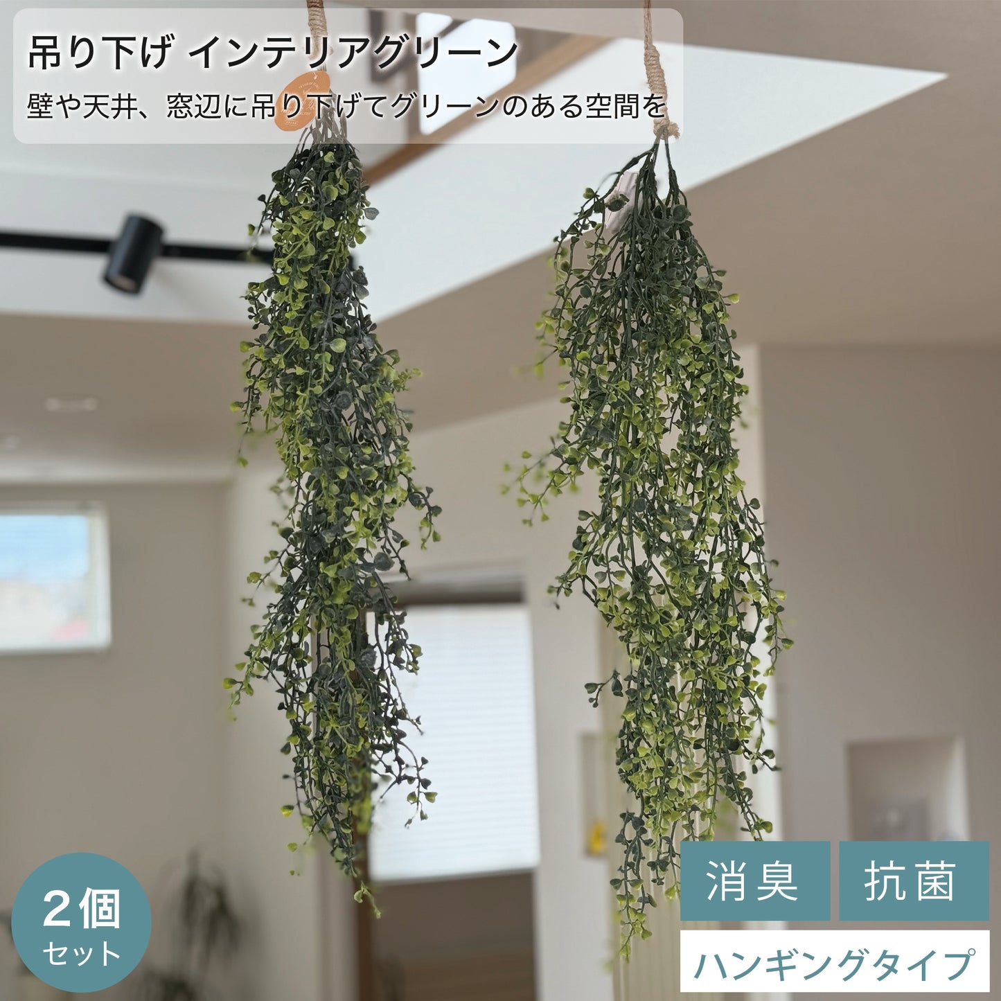 吊り上げ インテリアグリーン