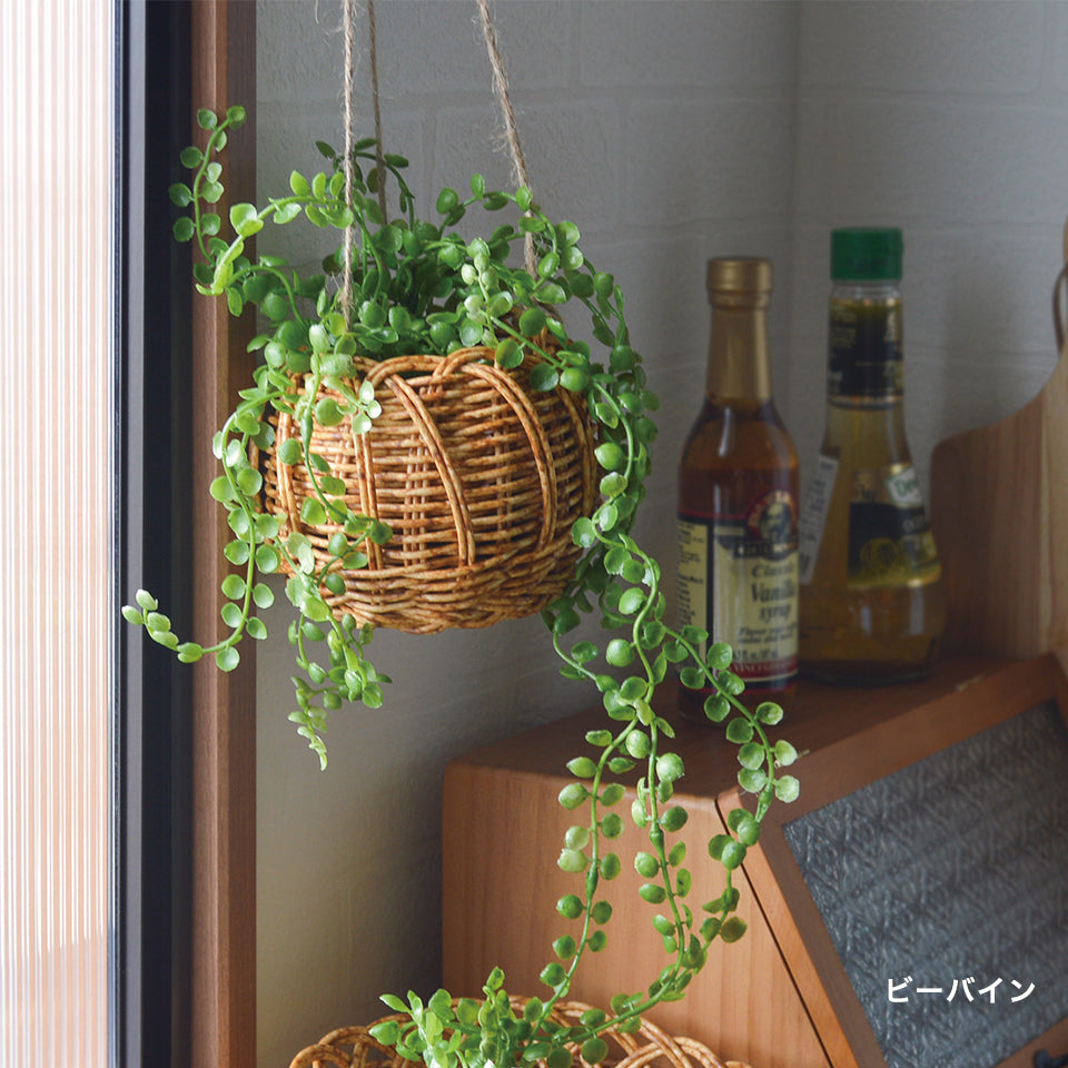 種類:ビーバイン