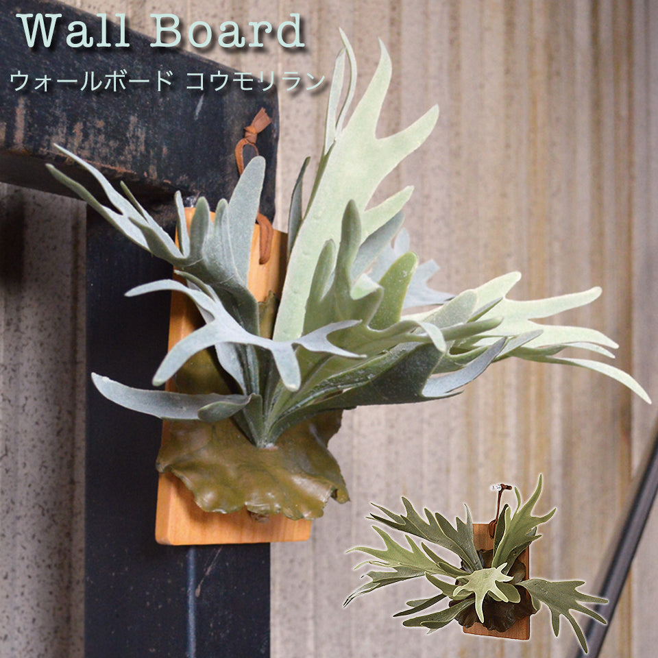 WallWall Board ウォールボード コウモリラン
