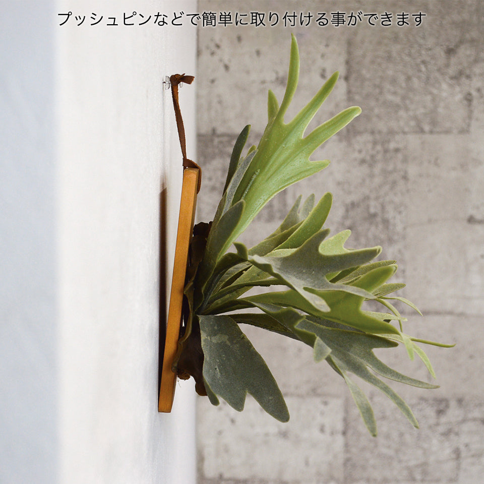 プッシュピンなどで簡単に取り付ける事ができます。
