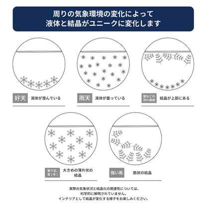 ストームグラス ガラス 天気予報ボトル