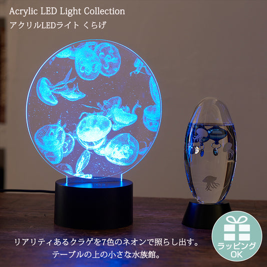 Acrylic LED Light Collection アクリルLEDライト くらげ