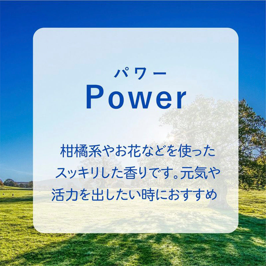 アシュレイ＆バーウッド ランプフレグランス ライム＆バジル 500ml フレグランスランプ用オイル