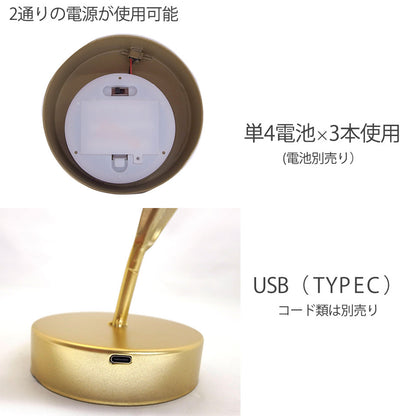 LEDストリングライト バード 鳥モチーフ インテリア オブジェ リビング プレゼント USB(TYPE C） かわいい 癒やしの時間