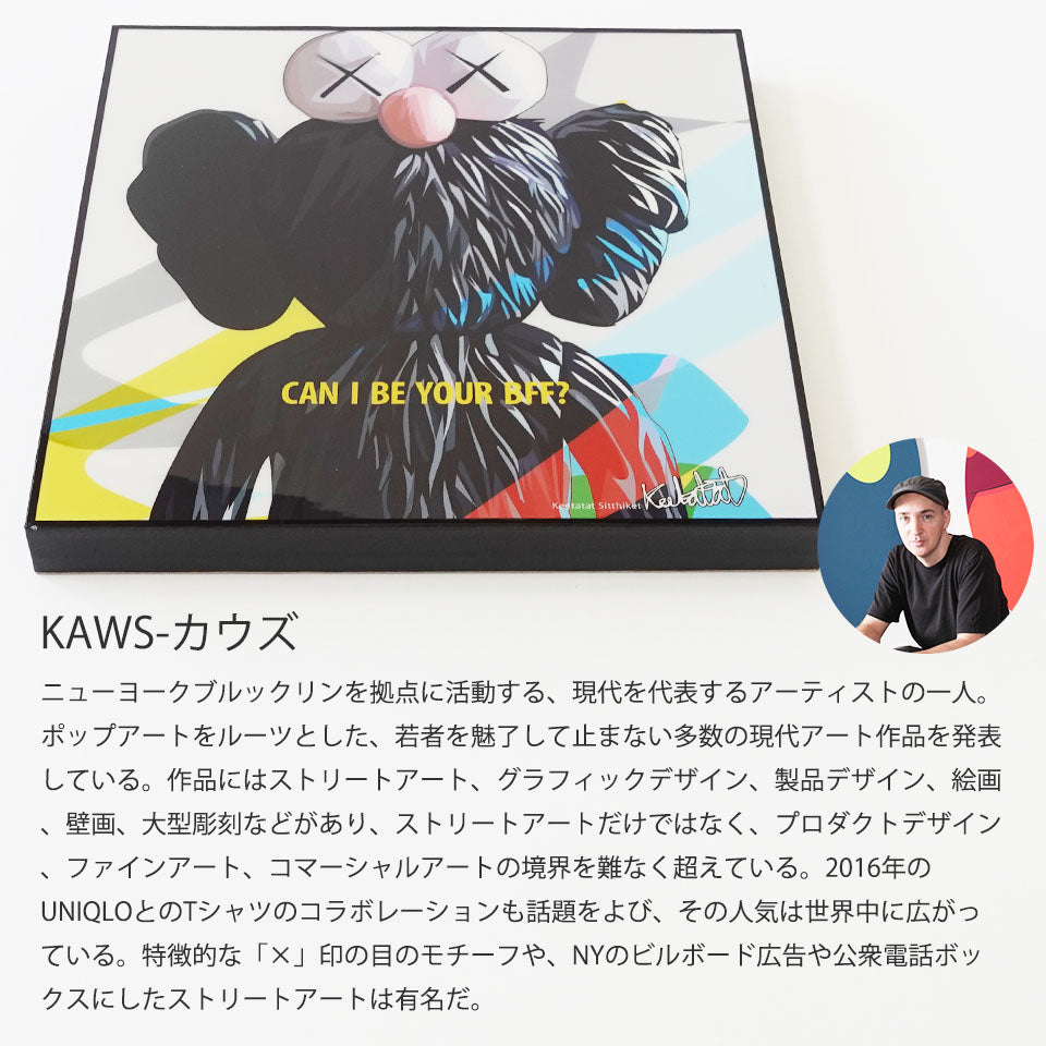 【お洒落なポップアートパネル】KAWS(カウズ )