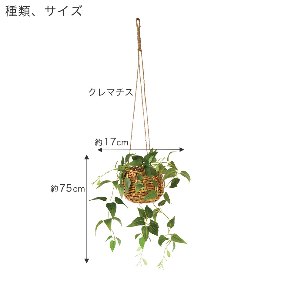 種類・サイズ　クレマチス 幅約17cm 長さ約75cm(本体のみ)