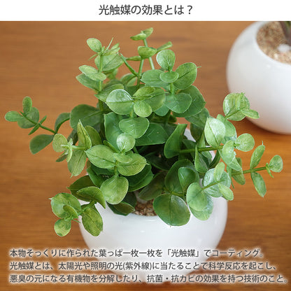 ラウンドポット3個セット インテリアグリーン フェイクグリーン 造花 消臭効果 抗菌効果 植物 枯れない