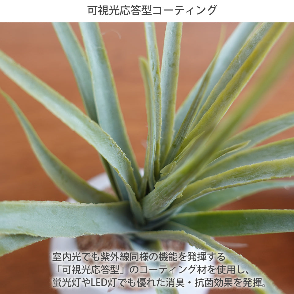 ラウンドポット3個セット インテリアグリーン フェイクグリーン 造花 消臭効果 抗菌効果 植物 枯れない