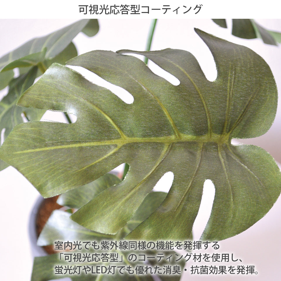 セラミックポット モンステラ インテリアグリーン フェイクグリーン 造花 消臭効果 抗菌効果  植物 枯れない