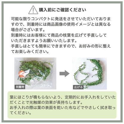 購入前にご確認ください