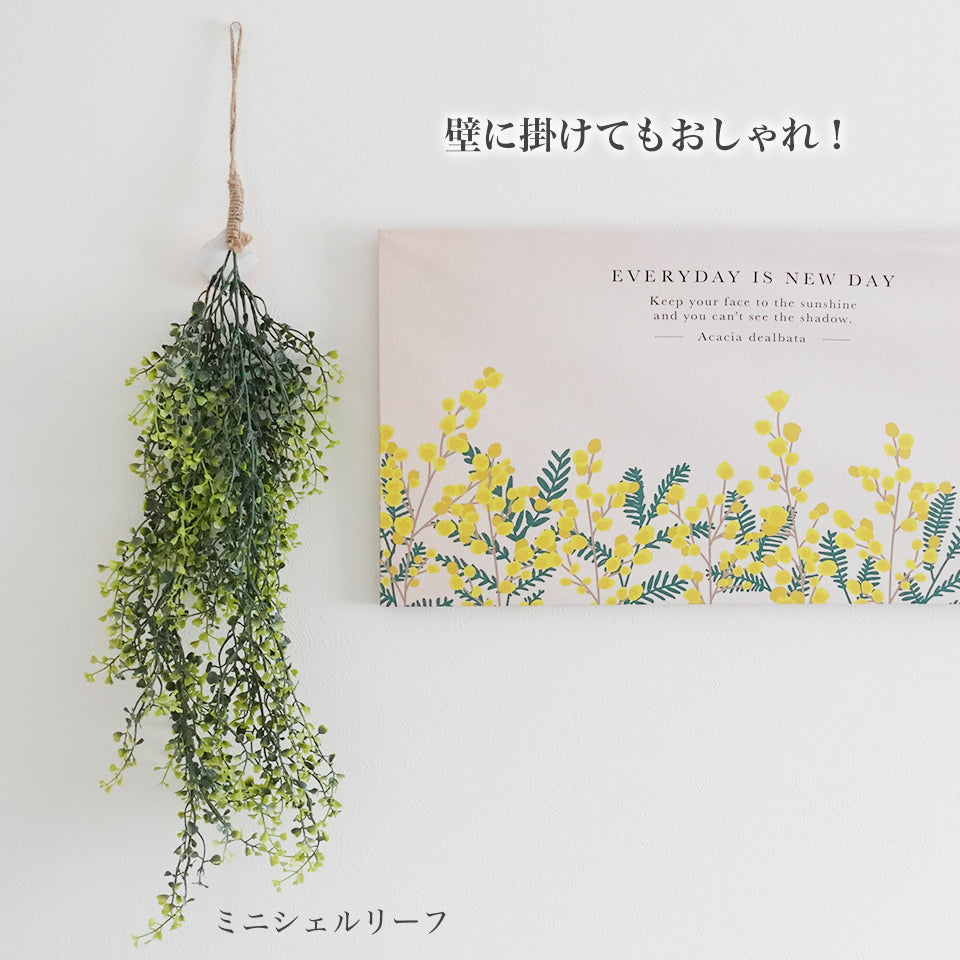 壁に掛けてもおしゃれ！