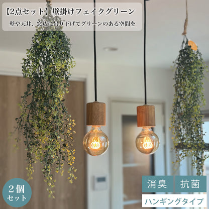 2点セット　壁掛けフェイクグリーン