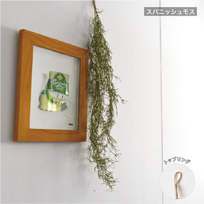 【送料無料】【3点セット】フェイクグリーン 吊り下げ | ハンギング 観葉植物 インテリアグリーン 造花 新生活 おしゃれ 壁掛け 飾り