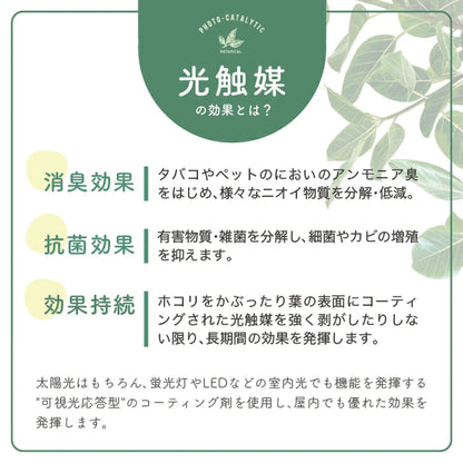 【送料無料】【3点セット】フェイクグリーン 吊り下げ | ハンギング 観葉植物 インテリアグリーン 造花 新生活 おしゃれ 壁掛け 飾り